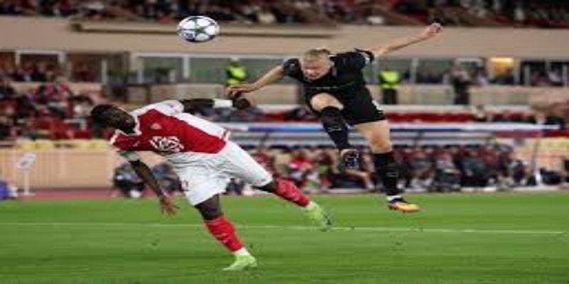 听证会细节：从认罪态度到量刑标准- 熊猫体育