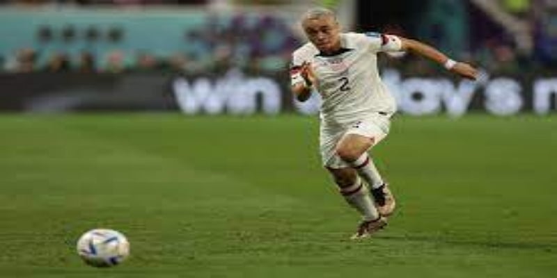 未来展望：蓝狐的长期计划与品牌升级  -熊猫体育