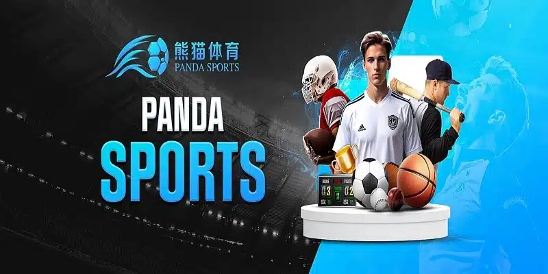 熊猫体育简介与发展历程