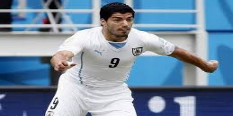 苏亚雷斯在罗杰斯体系下的巅峰表现- 熊猫体育