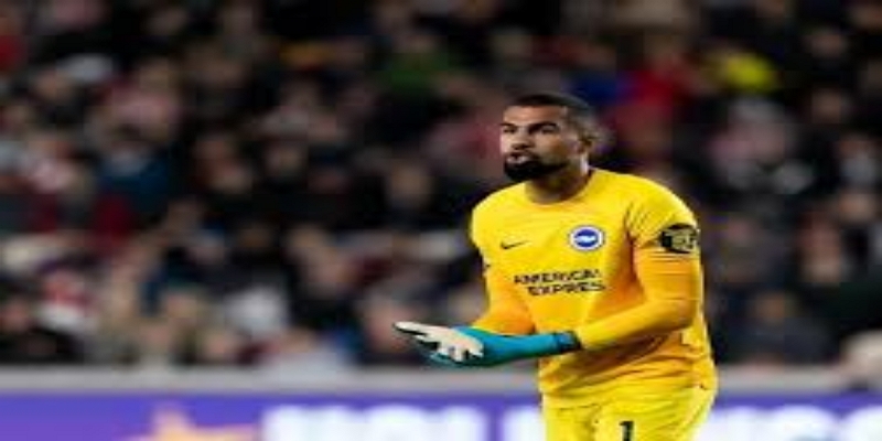 从东欧到英超：熊猫体育解析彼得罗维奇的成长轨迹与技术特征-熊猫体育