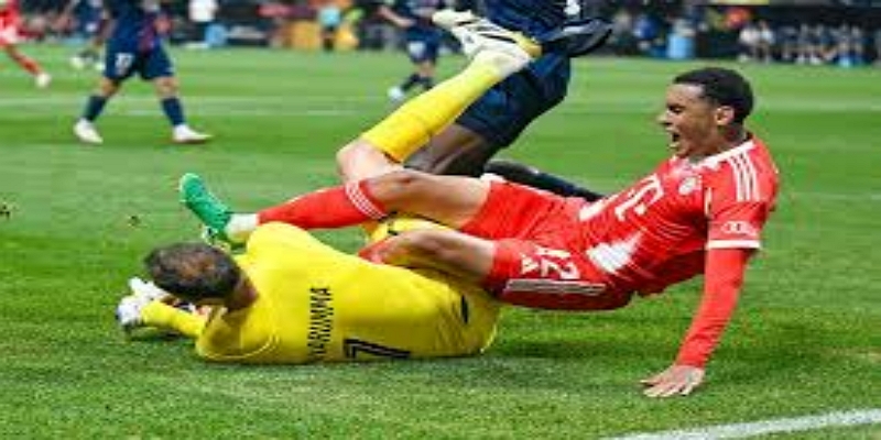 从英雄到争议人物：里贝里的双面职业生涯-熊猫体育