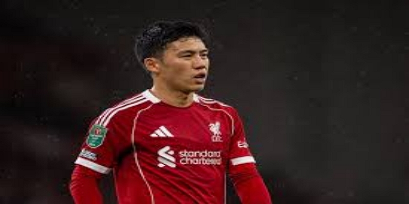 熊猫体育前瞻：延期是否影响长期规划？-熊猫体育