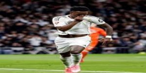 防守体系与整体平衡表现 -熊猫体育