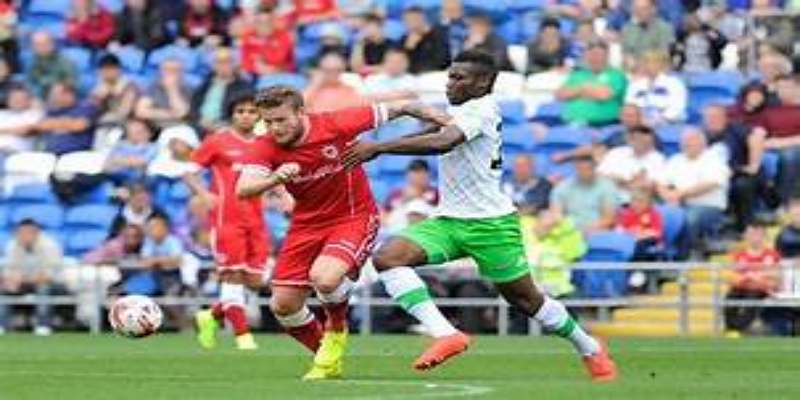 历史对比与联赛文化差异 -熊猫体育